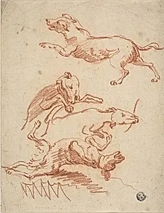 Sketches of Romping Dogs