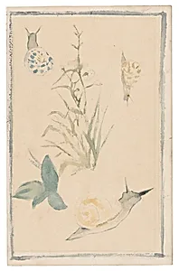 Sketches of Snails, Flowering Plant by Édouard Manet