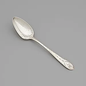 Spoon