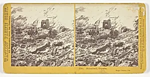 Steambath, Geysers, Napa County, California, No. 1581 from the series "Watkins' Pacific Coast" by Carleton Watkins