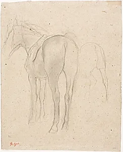 Studies of a Horse by Hilaire Germain Edgar Degas