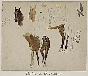 Studies of Horses