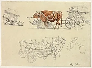 Studies of Slovakian Peasant Wagons with Oxen and Horses