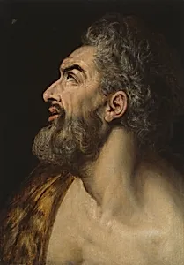 Study Head of a Bearded Man