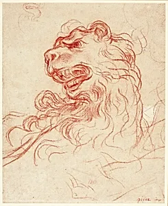 Study of the Head of a Lion