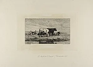 The Bank of Escaut