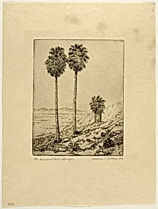 The Desert at Palm Springs