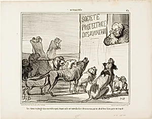 The Dogs are Again Falling in Despair After Having Heard that There Will Be a New Dog Licence Tax After All, plate 171 from Actualités by Honoré-Victorin Daumier
