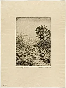 The Edge of the Desert