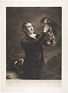 The Falconer