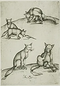 The Five Foxes