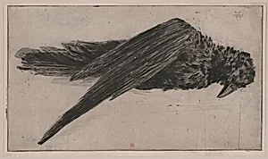 The Large Hanging Raven (Le Grand Corbeau Pendu), by Henri Charles Guérard