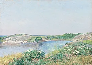 The Little Pond, Appledore