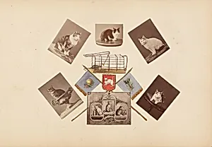 The Madame B Album by Marie-Blanche Hennelle Fournier