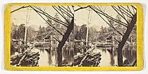 The Mill Pond near Laurel House, No. 9046 from the series "The Glens of the Catskills"
