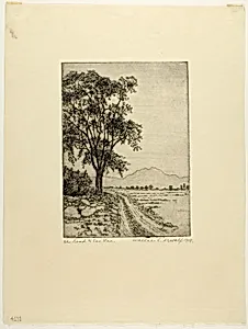 The Road to San Tan