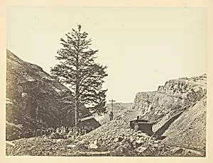 Thousand Mile Tree, Wilhelmina's Pass by Andrew Joseph Russell