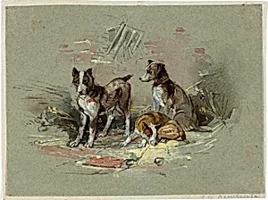 Three Dogs in an Alley