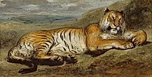 Tiger Resting