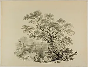 Tree and Footbridge