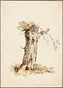 Tree Trunk I