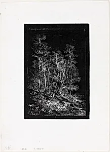Trees