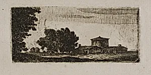 Trees and Buildings with Low Tower
