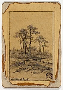 Trees on Rocky Hill
