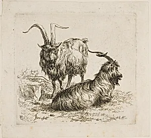Two Goats with Large Horns, from Various Animals