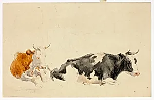 Two Recumbent Cows (recto); Sketch of Standing Cow (verso)