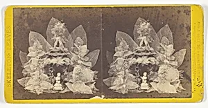 Untitled, from the series "Skeleton Leaves"