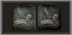 Untitled (Memento Mori Still Life) by Thomas Richard Williams