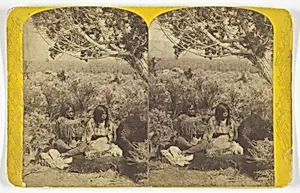 Utah Ute Indian and Lady "Courting" in N.E. Utah, from the U.S. Topographical and Geological Survey of the Colorado River of the West