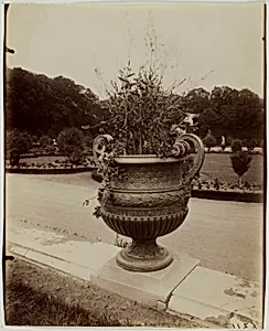 Versailles, Vase par Ballin by Jean-Eugène-Auguste Atget