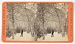 View on Goat Island, No. 7915 from the series "American Views, Niagara Falls"