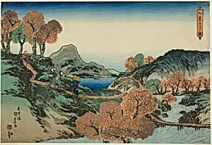 Viewing Maple Trees