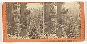 Vine Hill from Magnetic Springs. Santa Cruz Co., Cal. , No. 5024 from the series "Watkins' New Series" by Carleton Watkins