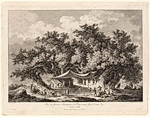 Vuë du fameux Chataignier de l'Etna...(View of the Famous Chestnut Tree of Mount Etna, called Centum Cavalli) by François Alix