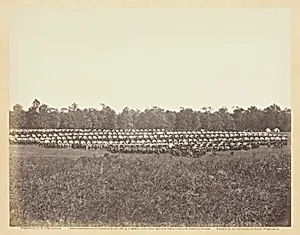 Wagon Park, Brandy Station, Virginia by Timothy O'Sullivan