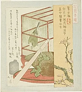 Warbler in a cage, from the series "A Series for the Hanazono Group (Hanazono bantsuzuki)" by Totoya Hokkei