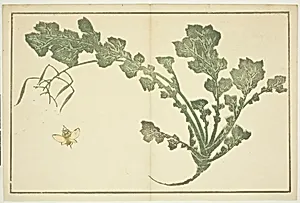 Wasp and turnip stalk, from "The Picture Book of Realistic Paintings of Hokusai (Hokusai shashin gafu)" by Katsushika Hokusai