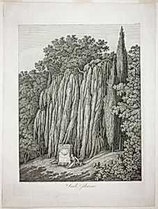 Weeping Willow