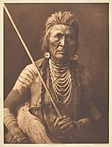 Wolf - Apsaroke