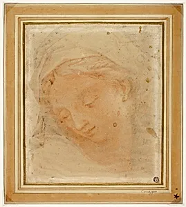 Woman's Head
