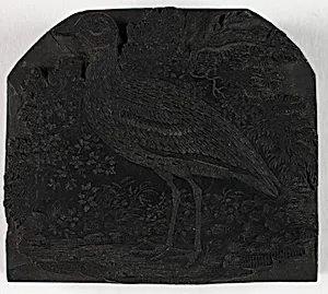 Woodblock for The Great Plover, from A History of British Birds