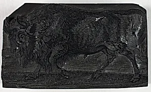 Woodblock for The Urus or Wild Bull, from A General History of Quadrupeds