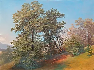Baumgruppe am Mönchsberg in Salzburg