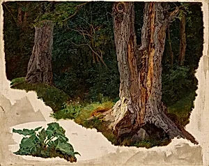 Baumstudie by Ferdinand Georg Waldmüller