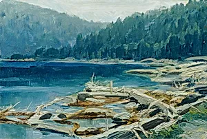 Böhmerwald (aus der Mappe „16 Ansichten tschechischer Landschaften 'Česká krajina'“)