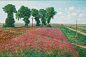 Das große Esparsettenfeld in Znaim IV